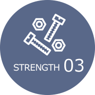 STRENGTH 03